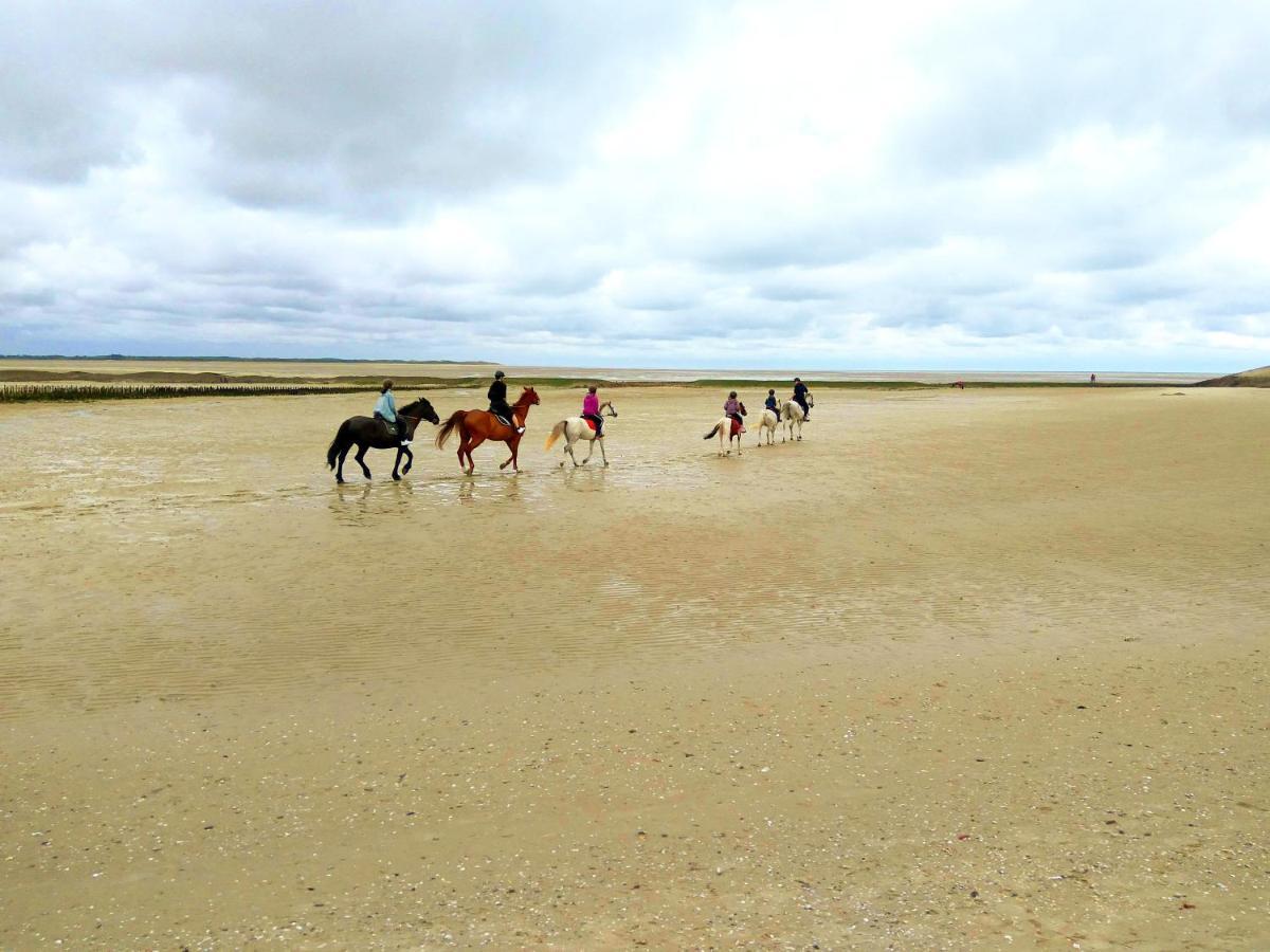 Maison Proche Des Immenses Plages De Berck Sur Mer A 1,8Km Des Plages Zewnętrze zdjęcie